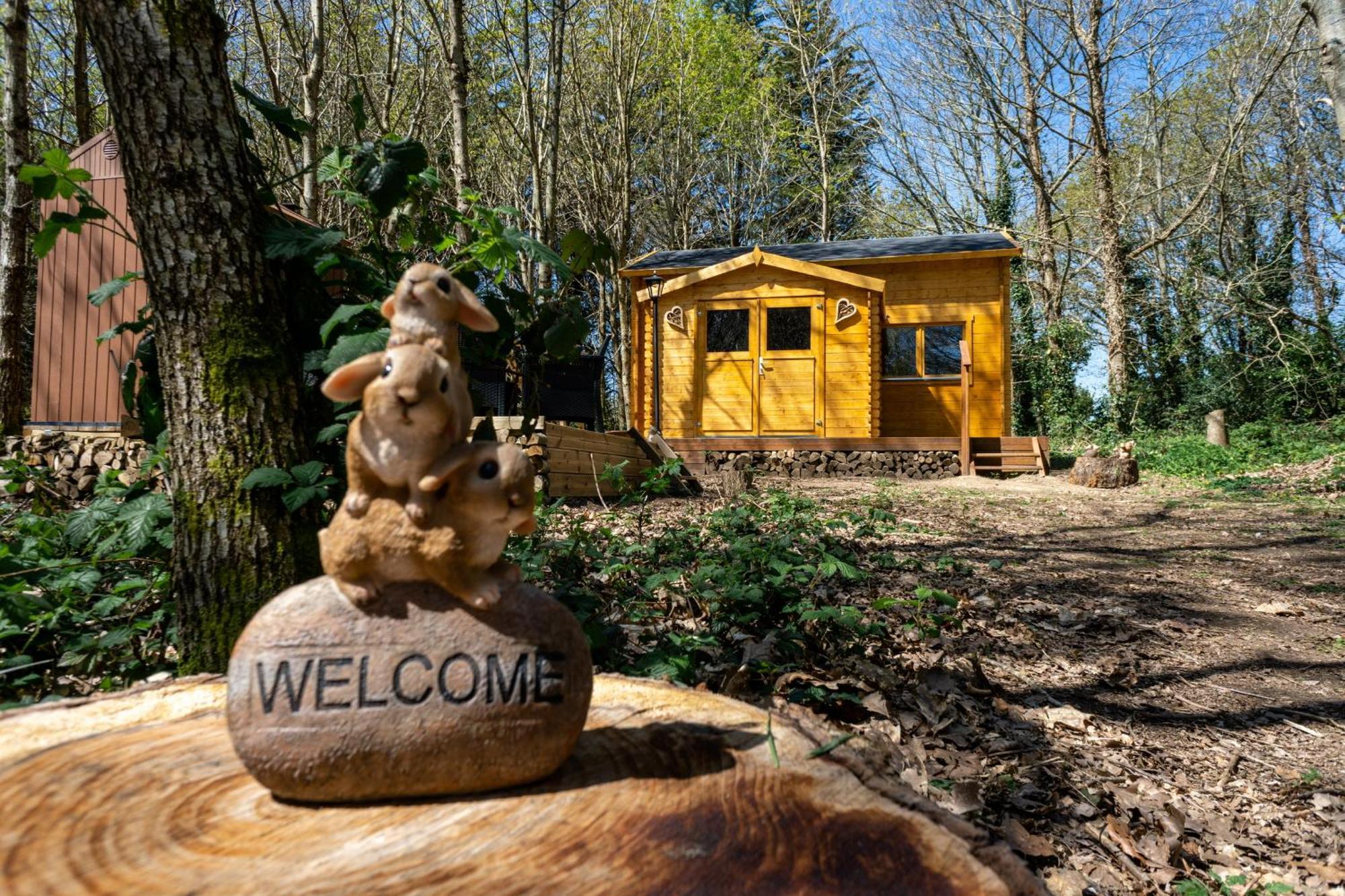 Cabane Insolite Avec Escape Game Saint-Évarzec エクステリア 写真